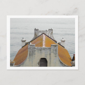 Postal Las aves de Alcatraz