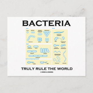 Postal Las bacterias verdaderamente gobiernan el mundo (M