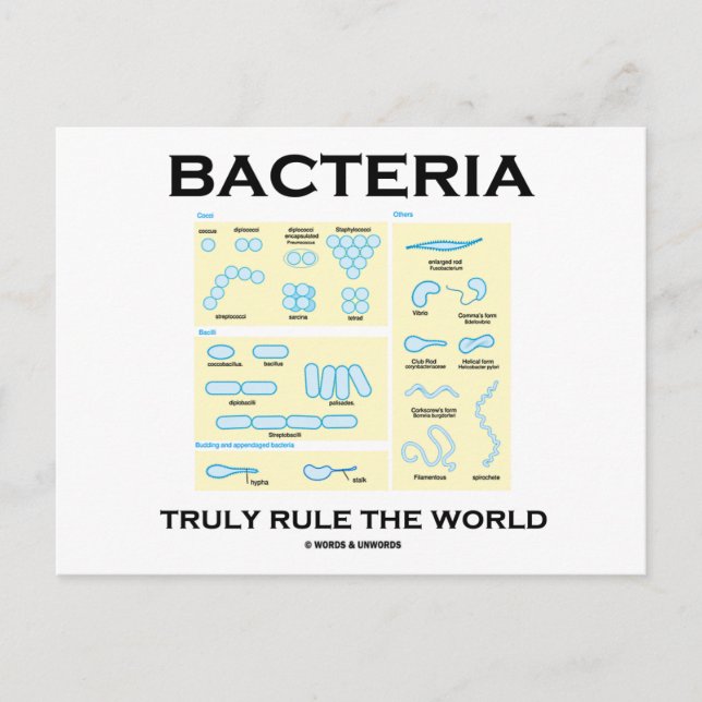 Postal Las bacterias verdaderamente gobiernan el mundo (M (Anverso)