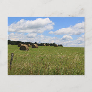 Postal Las balas del verano 2