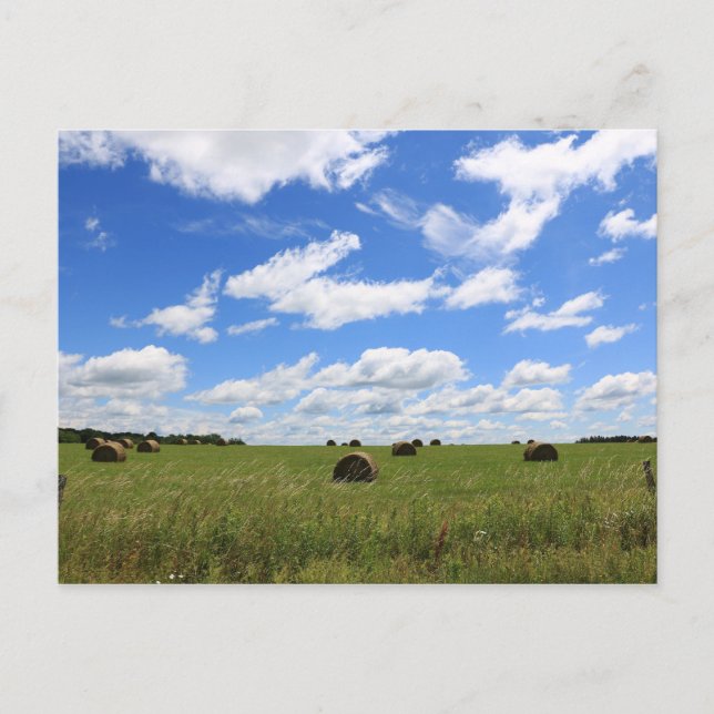 Postal Las balas del verano 3 (Anverso)