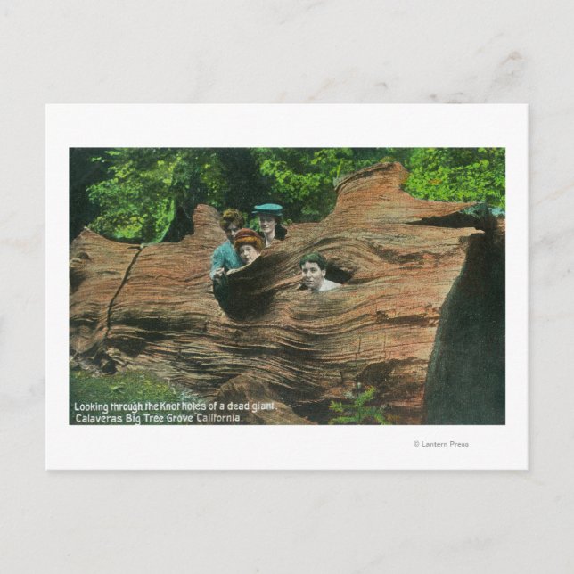 Postal Las cabezas expuestas en los tallos de nudos de se (Anverso)