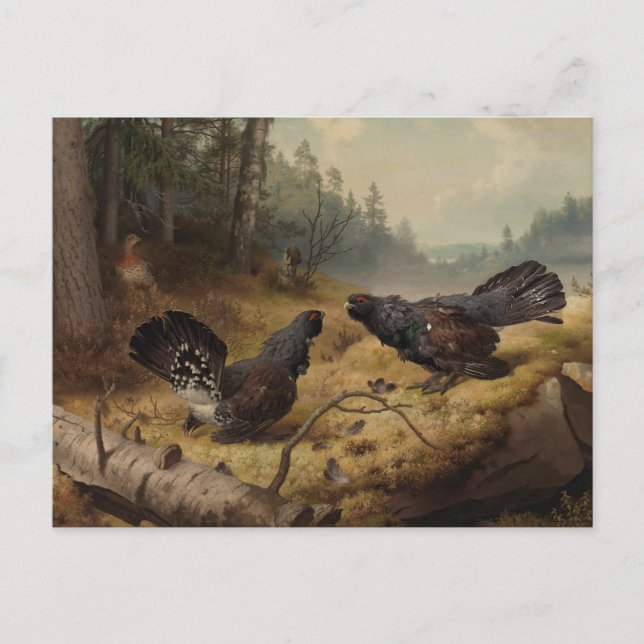 Postal Las Capercaillies de la lucha de Ferdinand von Wri (Anverso)