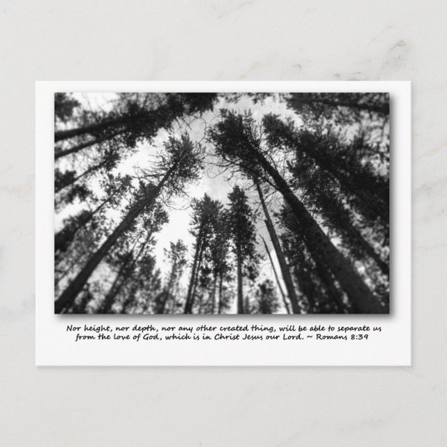 Postal Las cartas de amor de Dios (Anverso)