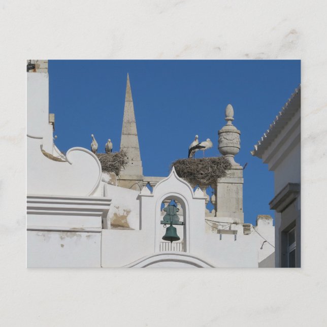 Postal las cigüeñas construyen nidos en la iglesia del ca (Anverso)