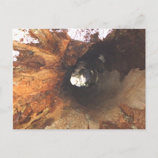 Postal Las cosas son difíciles (Anverso)