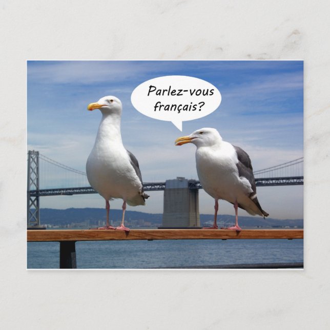 Postal Las gaviotas hablan francés (Anverso)