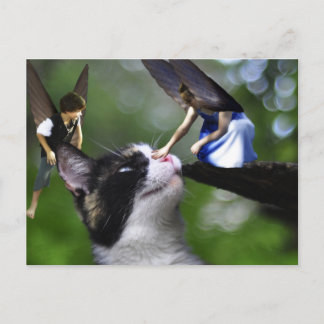 Postal Las hadas y la carta del gato gatito