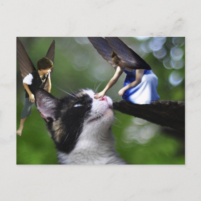 Postal Las hadas y la carta del gato gatito (Anverso)
