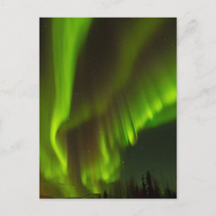 Postal Las Luces del Norte Fairbanks, Alaska