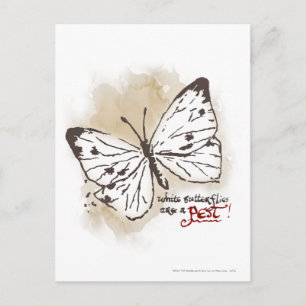 Postal Las mariposas blancas son una plaga