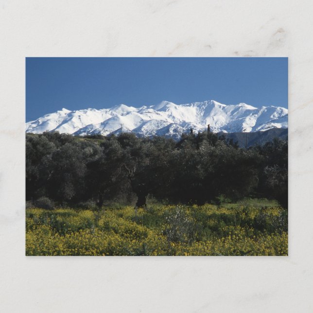 Postal Las montañas de Creta (Anverso)