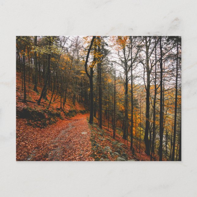 POSTAL LAS MONTAÑAS DE MIMBRE, EL DEMONIO DE LA PIEL, IRL (Anverso)