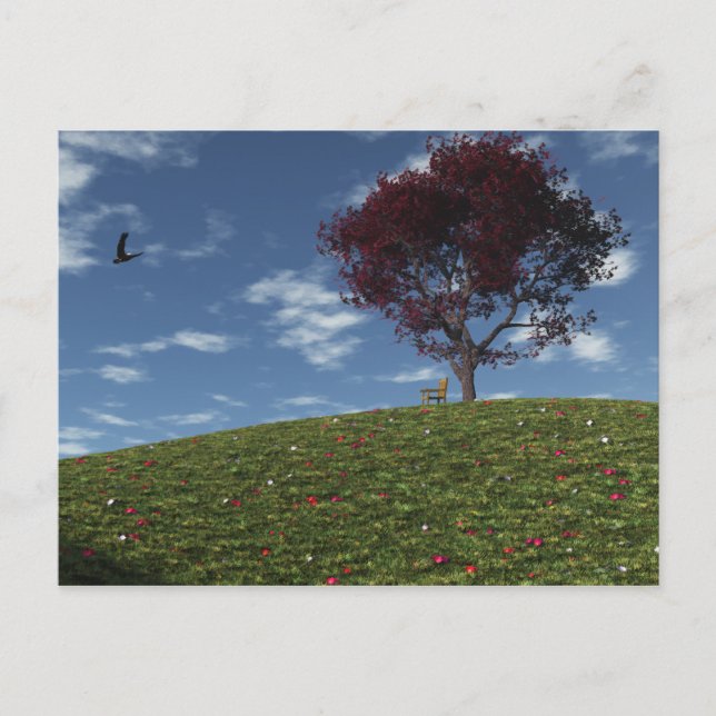 Postal Las Nubes Navegan Por Postcard (Anverso)