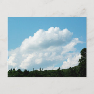 Postal Las nubes se encuentran con los árboles