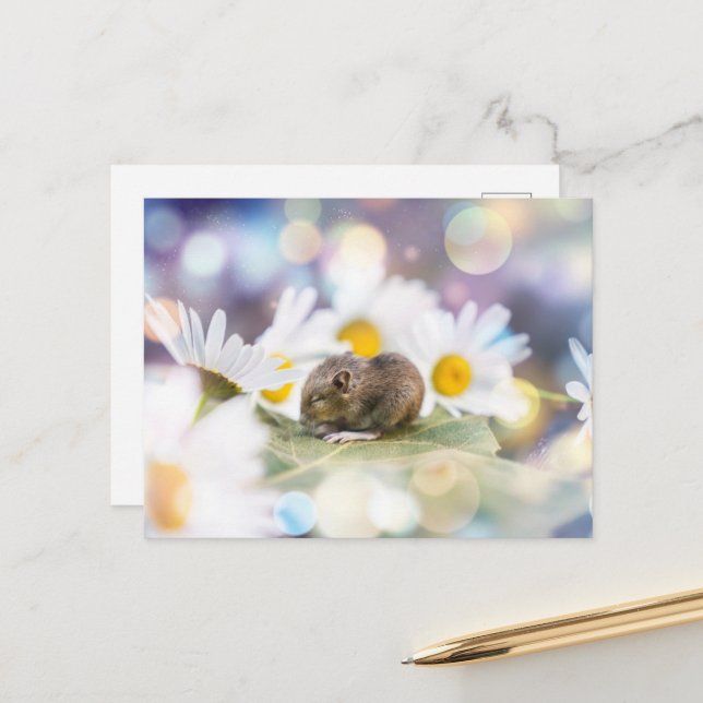 Postal Las pequeñas cosas (Anverso/Reverso In Situ)