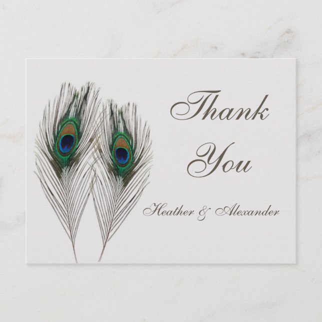 Postal Las plumas de pavo real azul verde Gracias (Anverso)