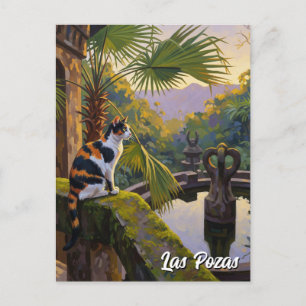 Postal Las Pozas México Viaje