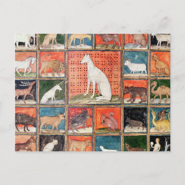 Postal Las propiedades de las bestias: los mamíferos (Anverso)