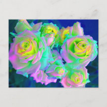 Las Rosas Perladas Iridescentes