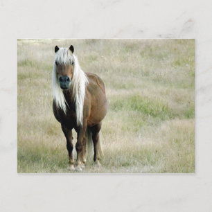 Postal Las rubias tienen más diversión