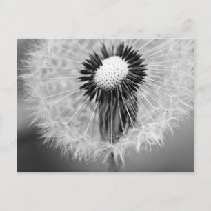 Postal Las semillas de mañana