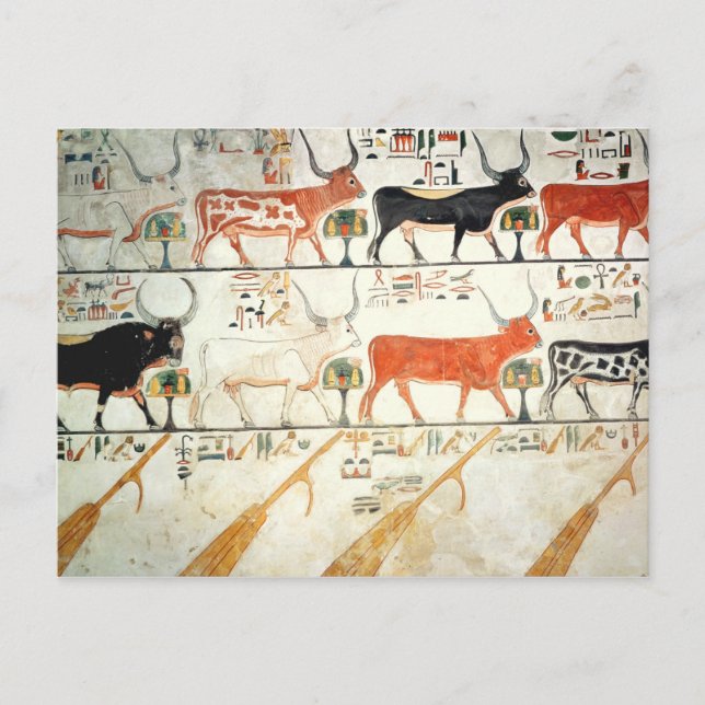 Postal Las siete vacas celestiales y el toro sagrado (Anverso)