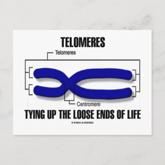 Postal Las Telomeres Encajonando Los Sucios Fines De La V