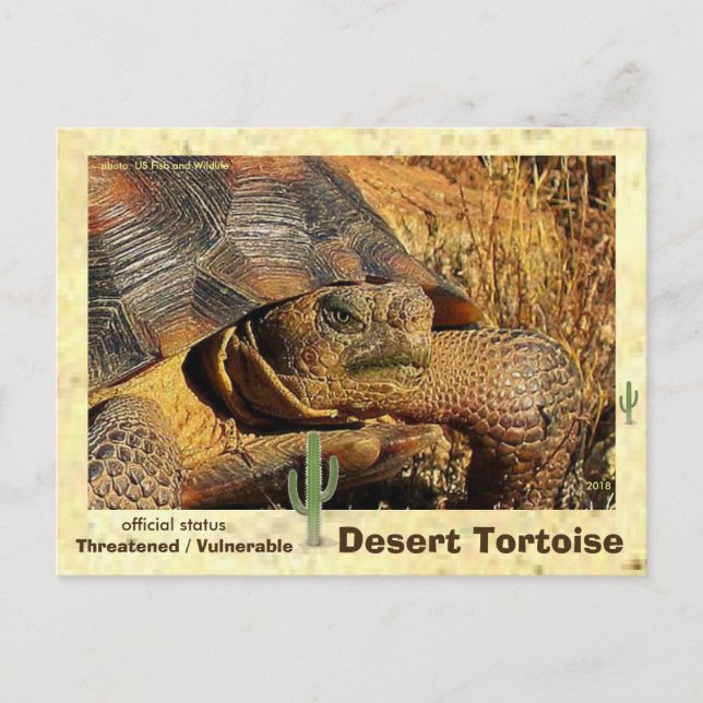 Postal Las tortugas del desierto están amenazadas de exti (Anverso)