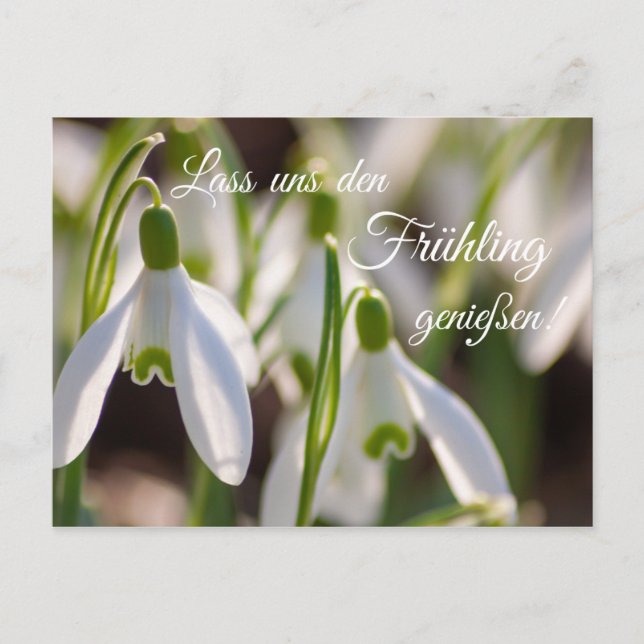 Postal ¡Lass uns den Frühling genießen! (Anverso)