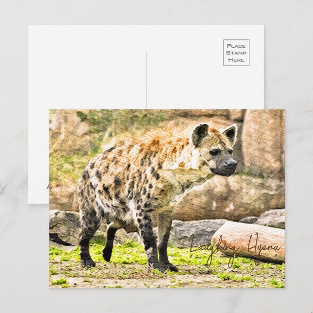 Postal Laughing Hyena (Anverso / Reverso)