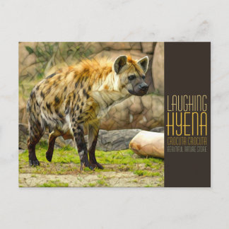 Postal Laughing hyena [Postcard]