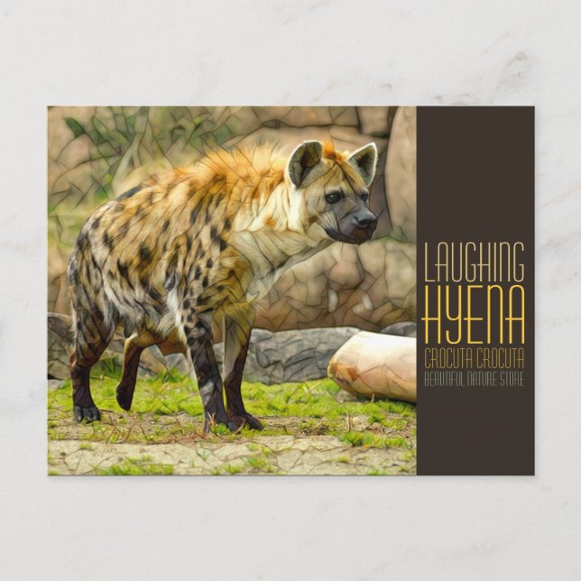 Postal Laughing hyena [Postcard] (Anverso)