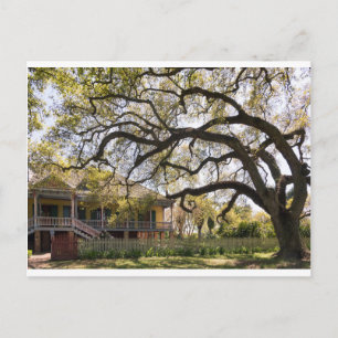 Postal Laura Plantation, Nueva Orlean