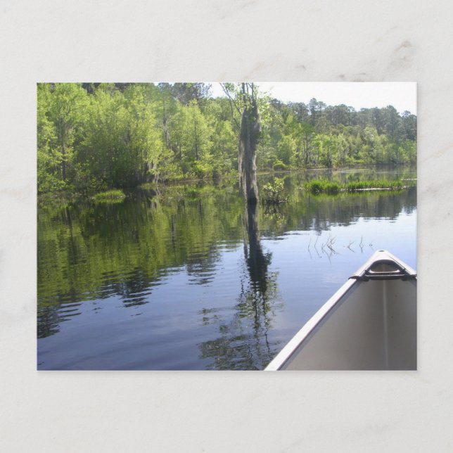 POSTAL "LAURA S. WALKER STATE PARK" (Anverso)