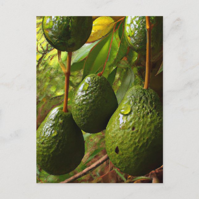 Postal Laurales (Anverso)