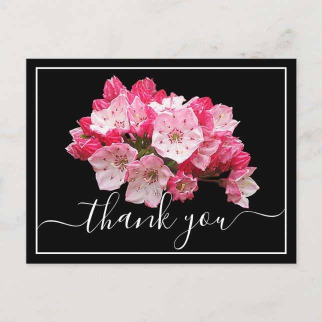 Postal Laurel de Montaña Blanca y Rosa Black Back Gracias (Anverso)