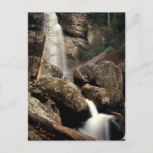 Postal Laurel Falls (Anverso)