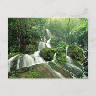 Postal Laurel Falls, Tennessee