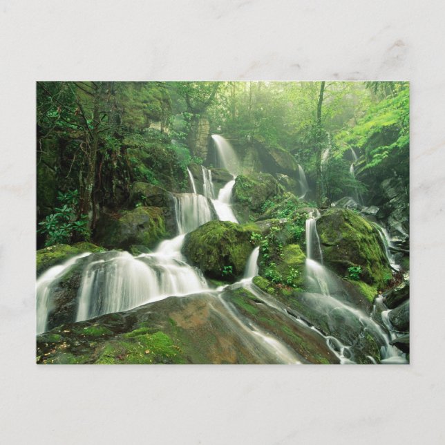 Postal Laurel Falls, Tennessee (Anverso)