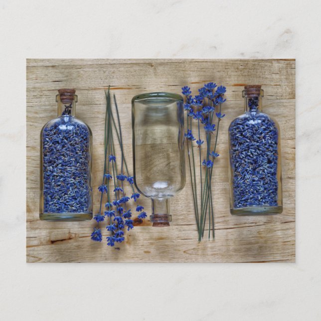 Postal Lavanda (Anverso)