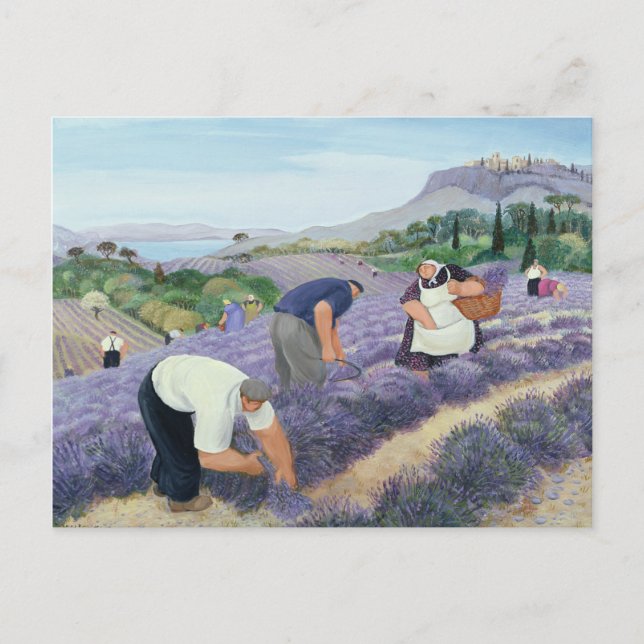 Postal Lavanda (Anverso)