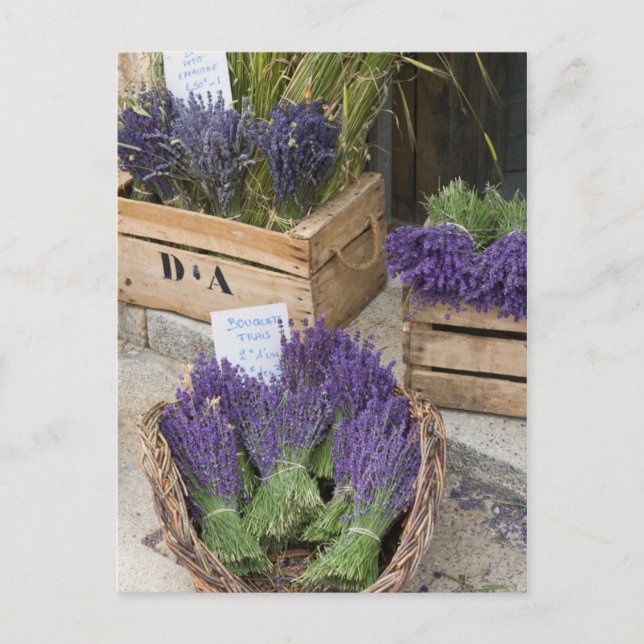 Postal Lavanda a la venta, Provenza, Francia (Anverso)