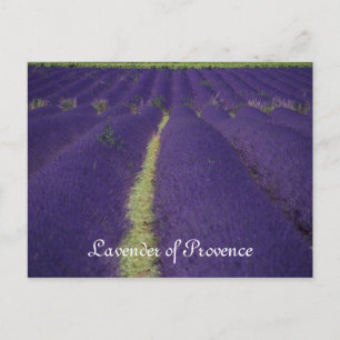 Postal Lavanda de Provenza