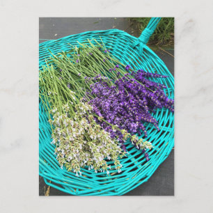 Postal Lavanda en una canasta