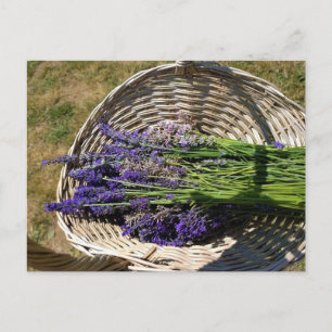 Postal Lavanda en una canasta