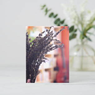 Postal Lavanda Seca, Cello y Estanterías al Fondo