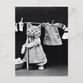 Postal Lavandería de felinos en ropa de impresión vintage