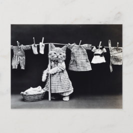 Postal Lavandería de felinos en ropa de impresión vintage