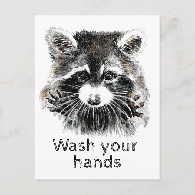 Postal Lávate Las Manos Raccoon Gracioso ¿Estás Bien? (Anverso)